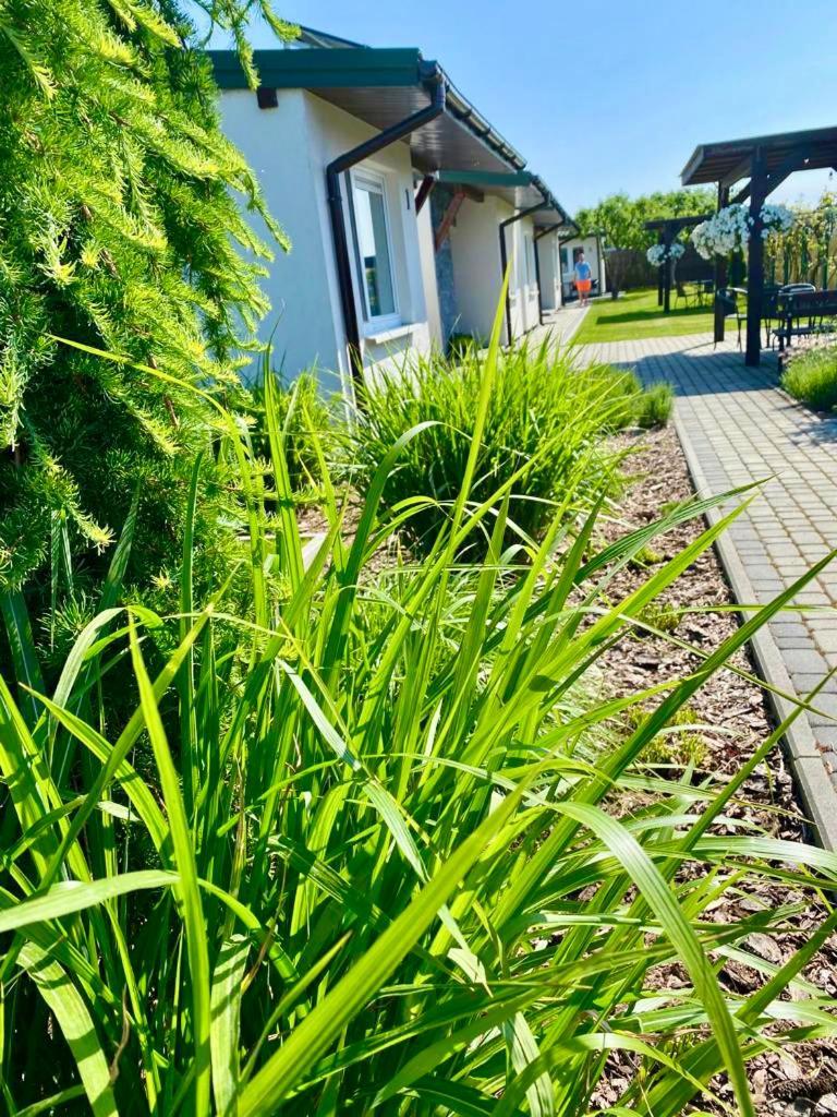 Villa Zielone Zacisze Uniejów Exterior foto